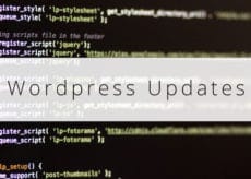 Automatische Wordpress Updates